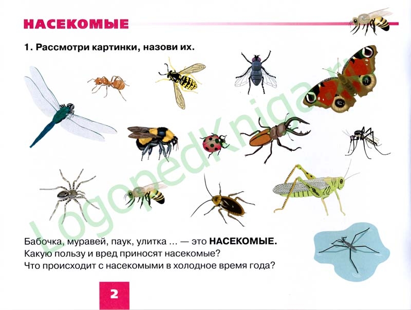 Развитие речи насекомые средняя группа. Русланова насекомые дидактический материал. Насекомые задания для детей 4-5 лет. Полезные насекомые для дошкольников. Насекомые задания для дошкольников.